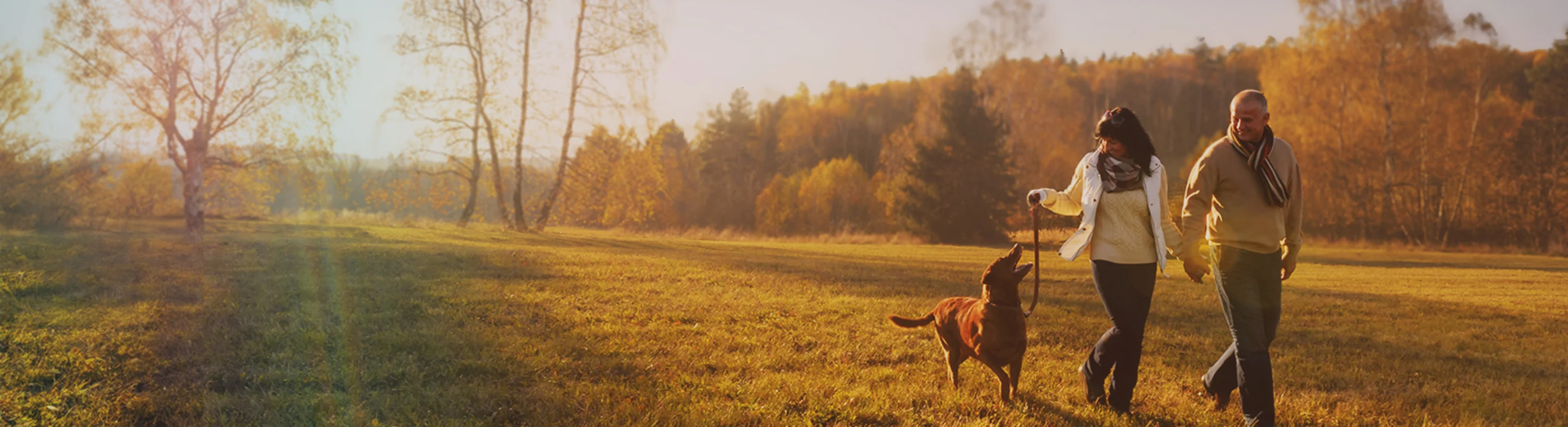 A couple walking their dog through an autumnal landscape A couple walking their dog through an autumnal landscape