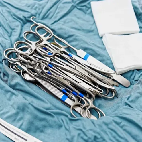 Scissors Equipment at Sherwood Veterinary Clinic Scissors Equipment at Sherwood Veterinary Clinic