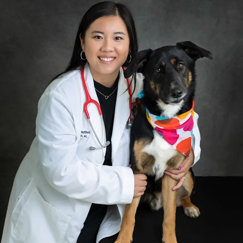 **Coming Soon**   Dr. Greer Cauthen **Coming Soon**   Dr. Greer Cauthen