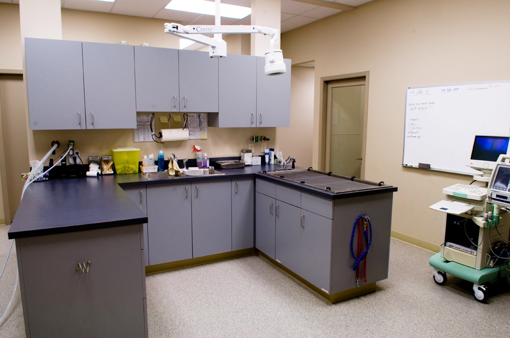 Laboratory area and operating area