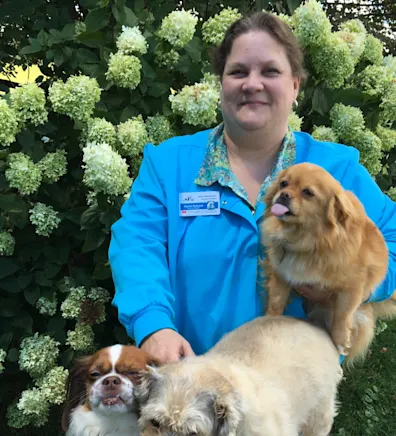 New Baltimore Animal Hospital Karen New Baltimore Animal Hospital Karen