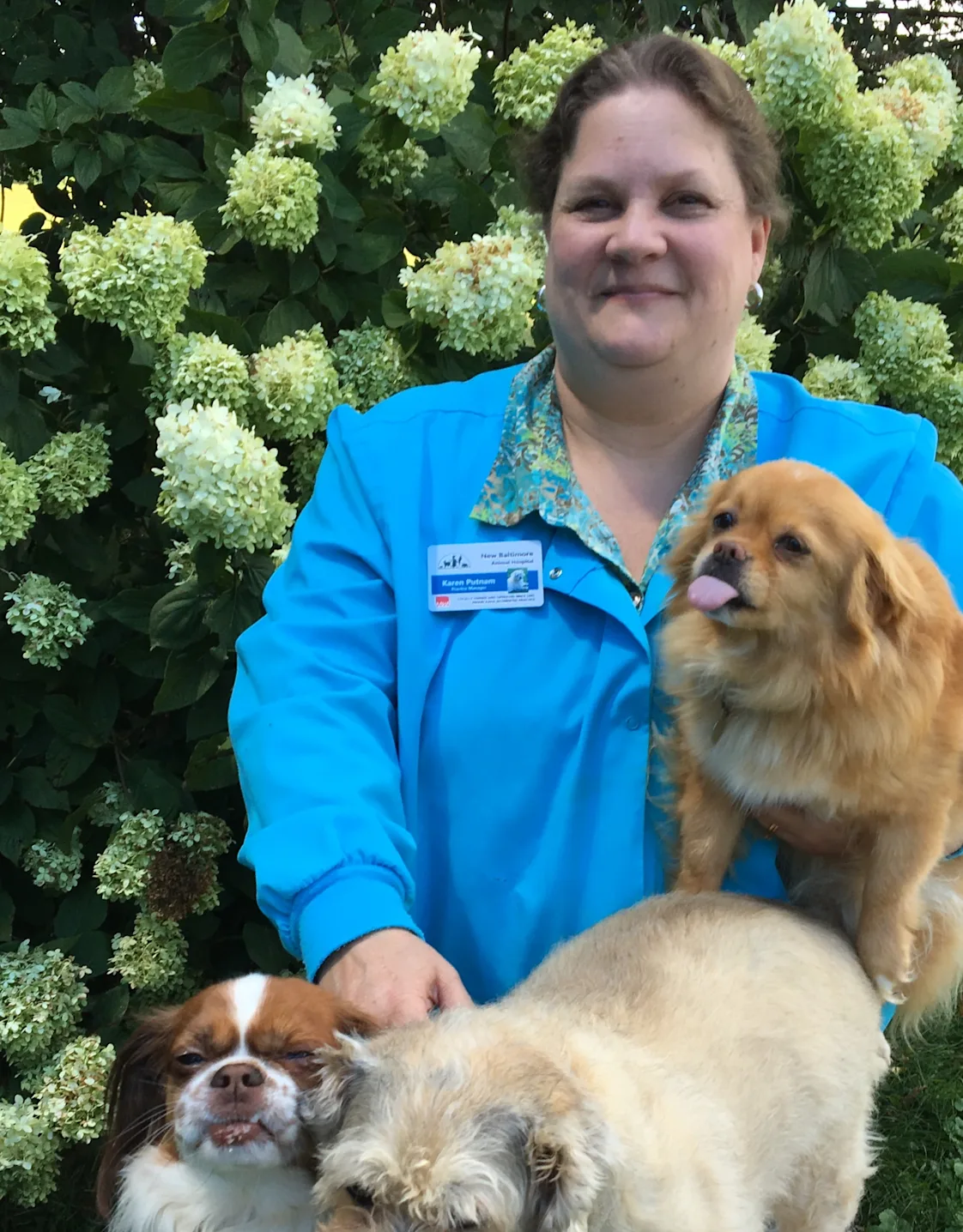 New Baltimore Animal Hospital Karen New Baltimore Animal Hospital Karen