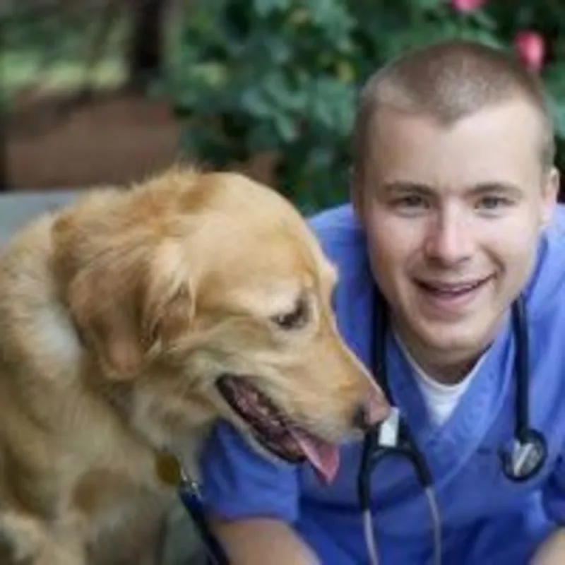 Hill Country Animal Hospital David Allman Hill Country Animal Hospital David Allman