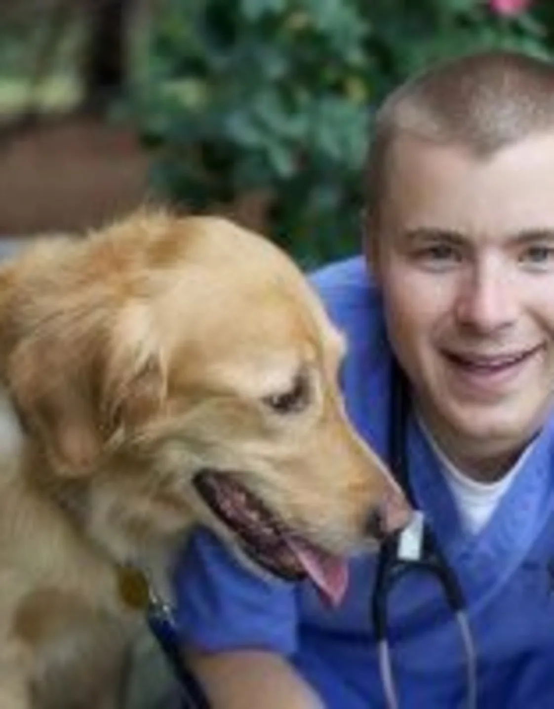 Hill Country Animal Hospital David Allman Hill Country Animal Hospital David Allman