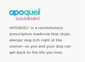 Apoquel promo