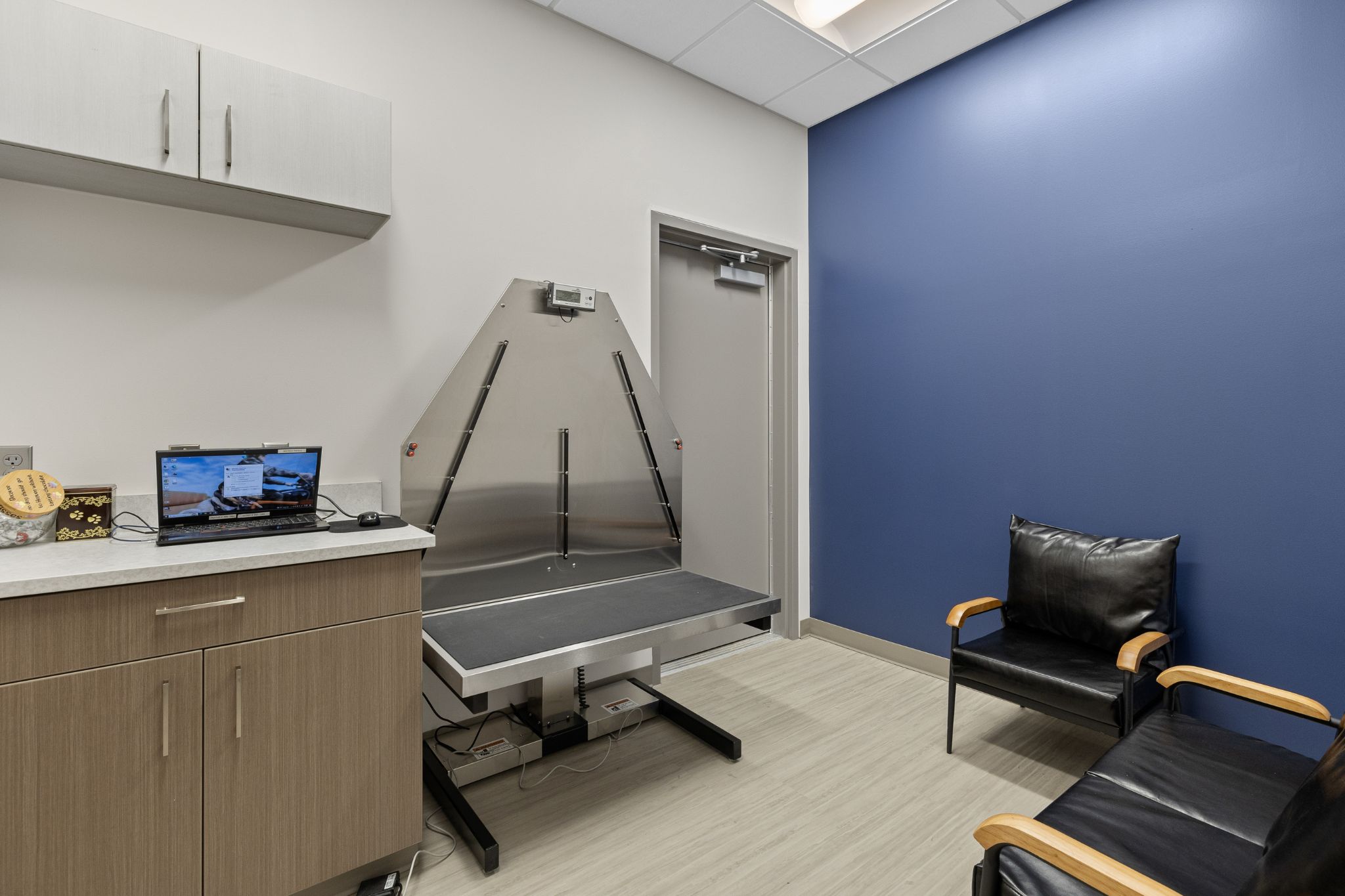 Animal Clinic of Rapid City Scale