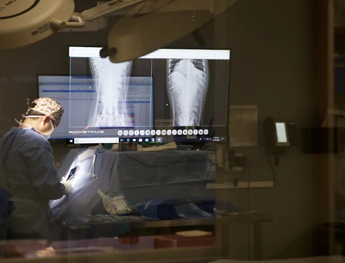 Veterinarian operating on a pet Veterinarian operating on a pet