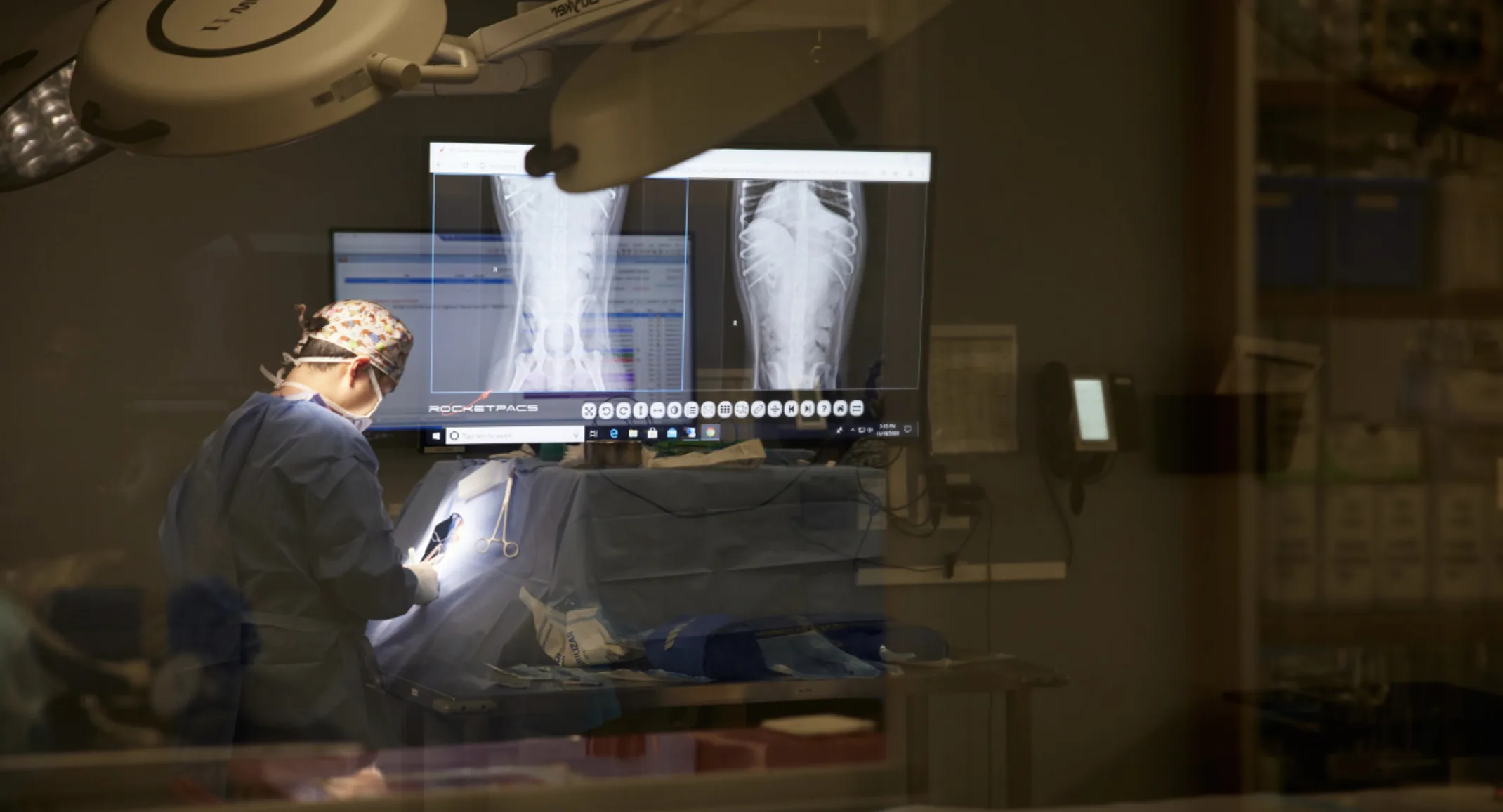 Veterinarian operating on a pet Veterinarian operating on a pet
