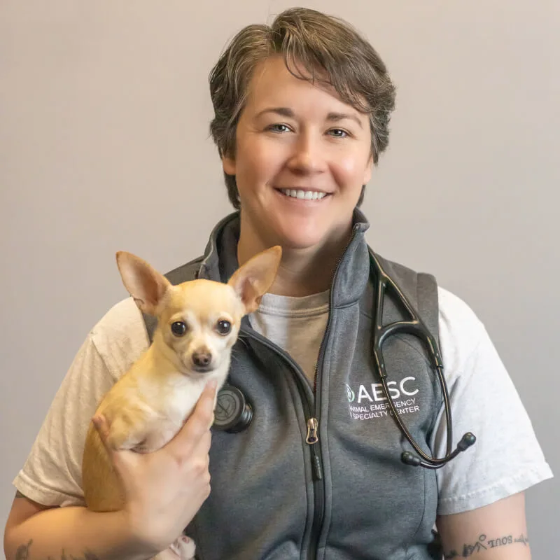 Headshot of Lindsey Weber w/brown chihuahua Headshot of Lindsey Weber w/brown chihuahua
