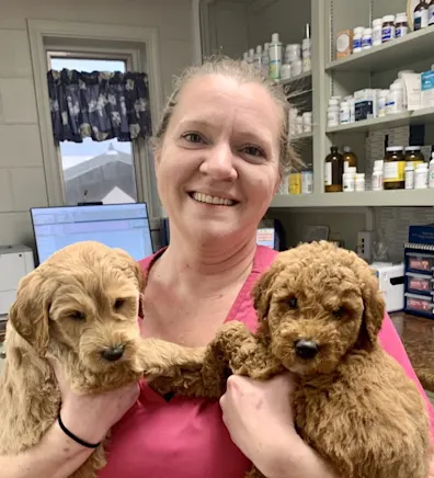 New Staff Member New Staff Member