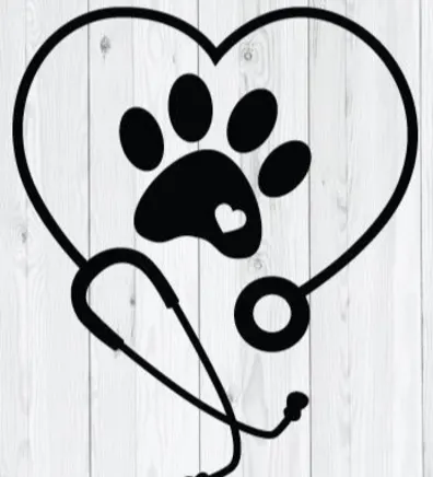 Kennel Assistants Kennel Assistants