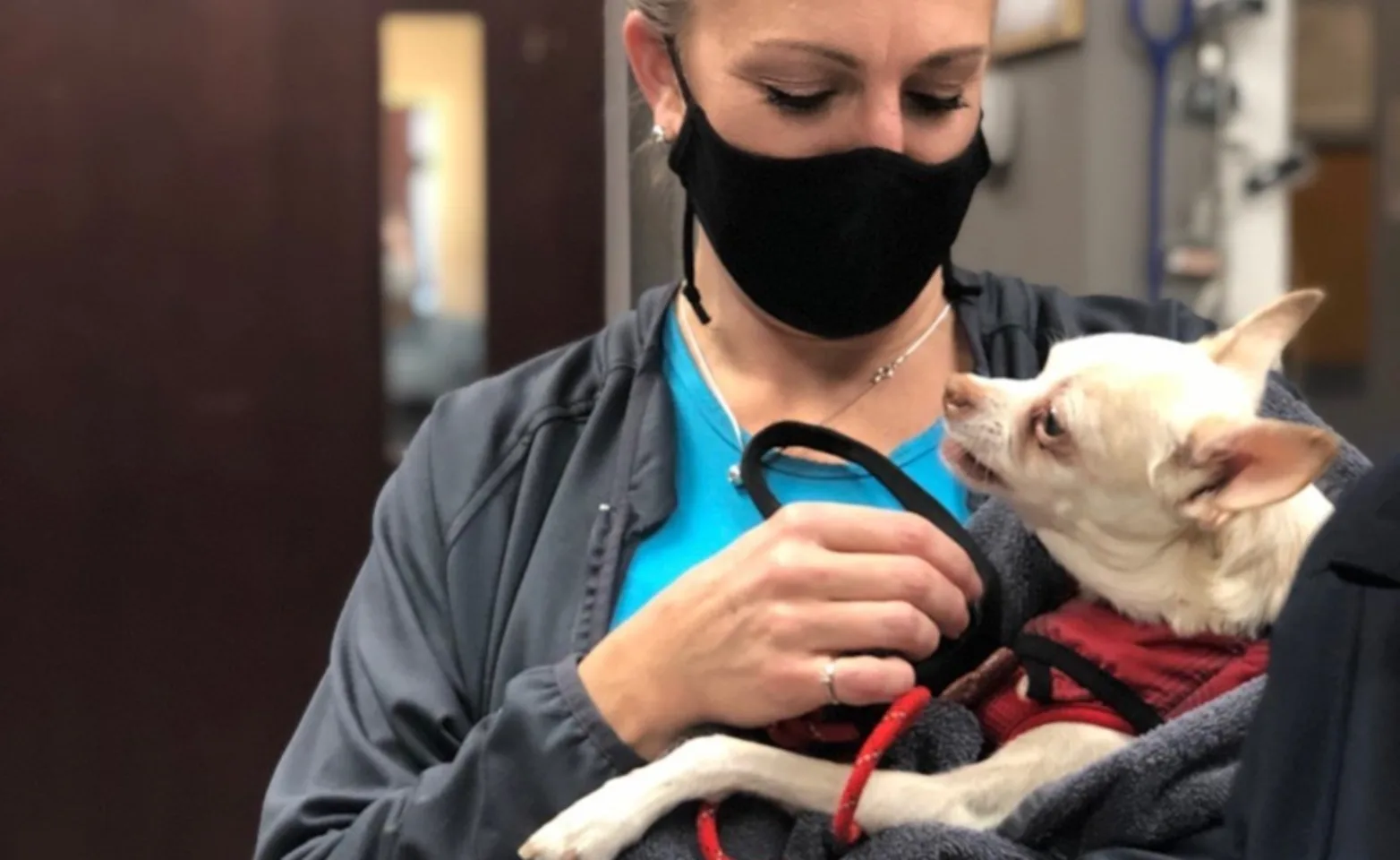 Vet with dog Vet with dog