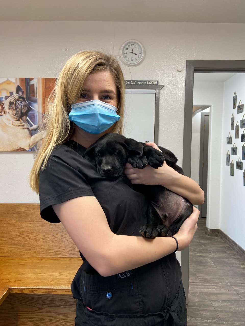 Staff holding a black pug