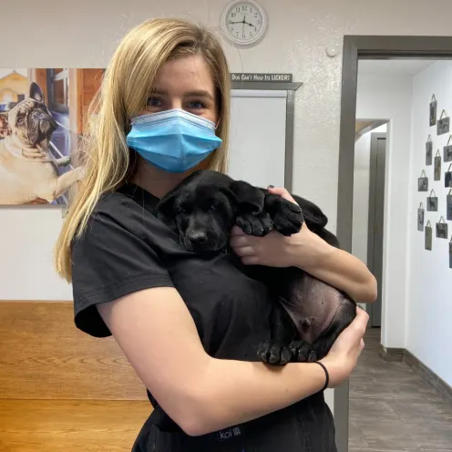 Staff holding a black pug