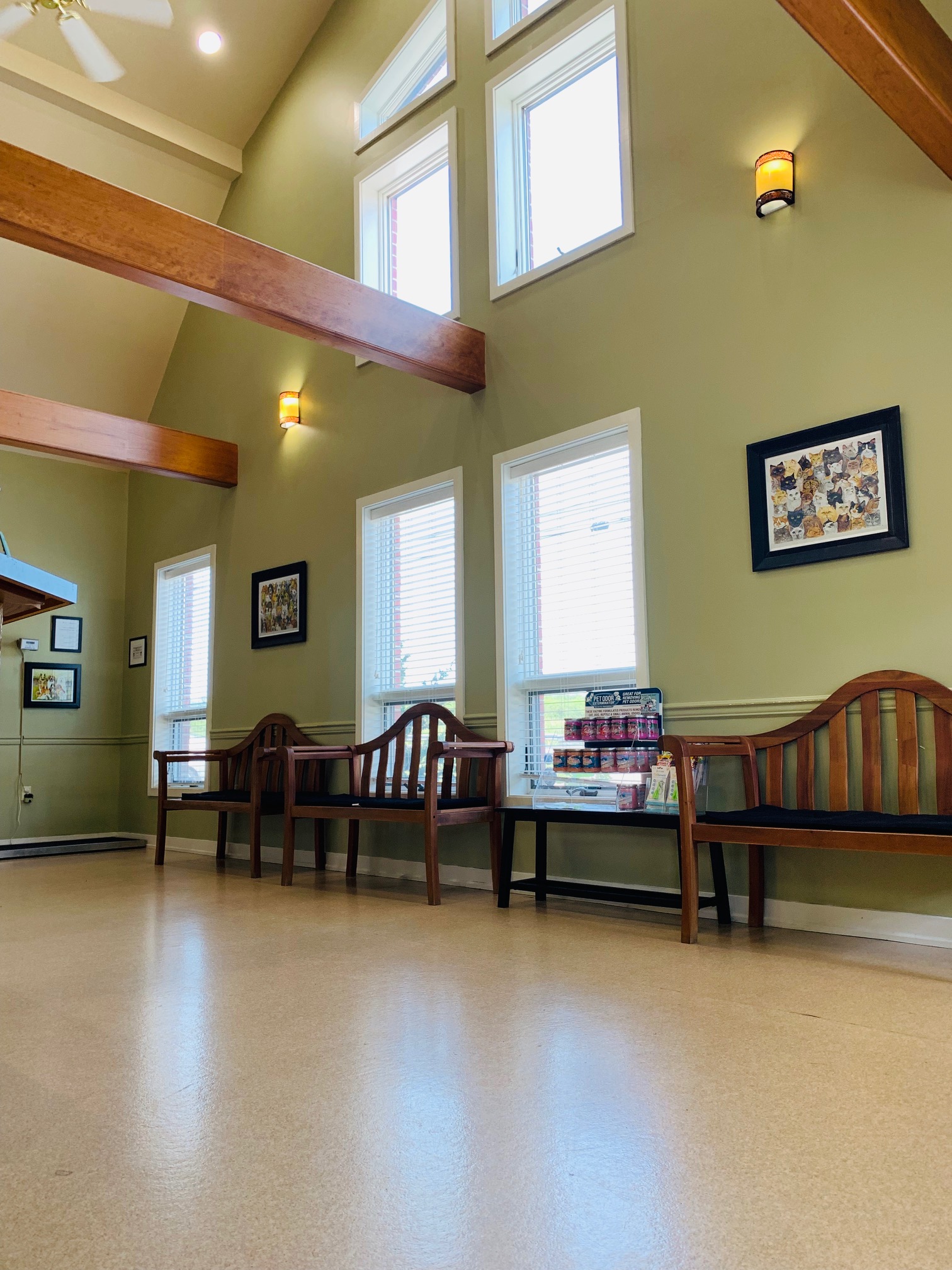  Best Friends Animal Hospital Waiting room with seating benches