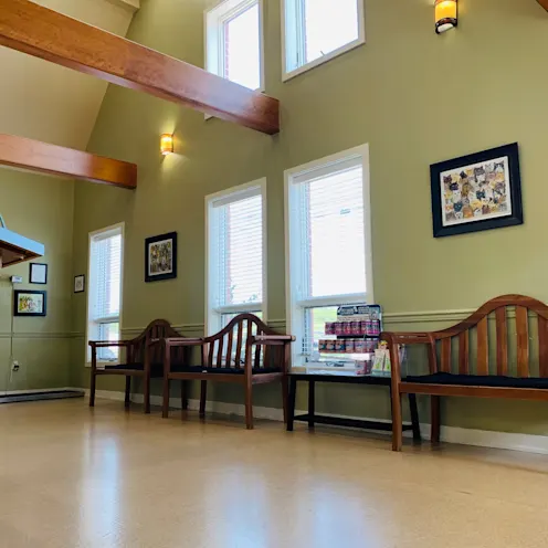 Best Friends Animal Hospital Waiting room with seating benches  Best Friends Animal Hospital Waiting room with seating benches
