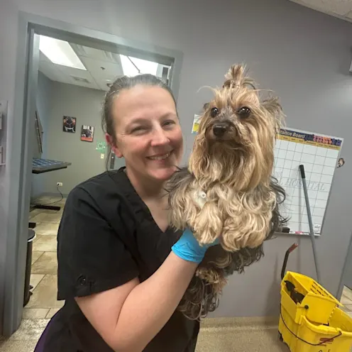 Staff member with Yorkshire Terrier Staff member with Yorkshire Terrier