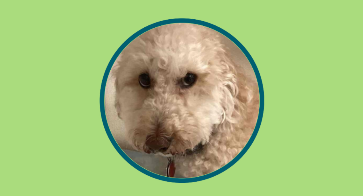 Left Sided Congestive Heart Failure at Boston West