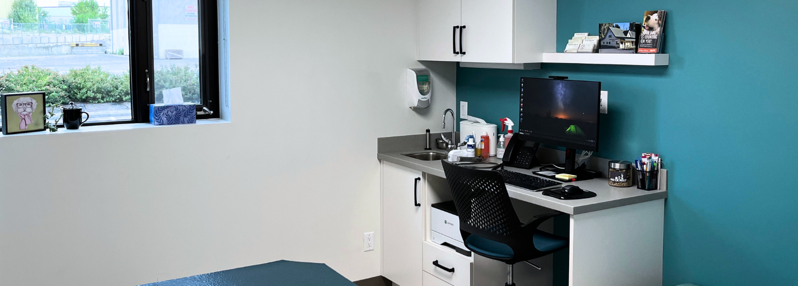 Exam Room at Okanagan Veterinary Hospital