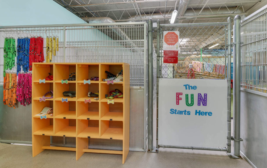 Owl Creek Veterinary Hospital's font gate to the indoor dog park area where you can use a cubby area to put your stuff in before entering the facility