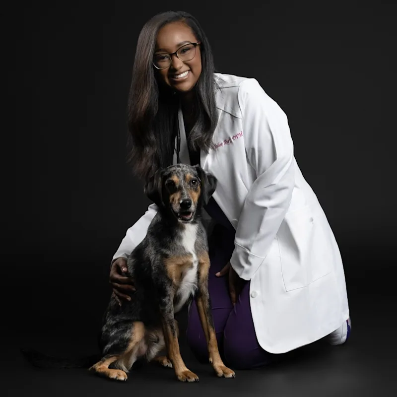 Dr. Teilor Ruff Dr. Teilor Ruff