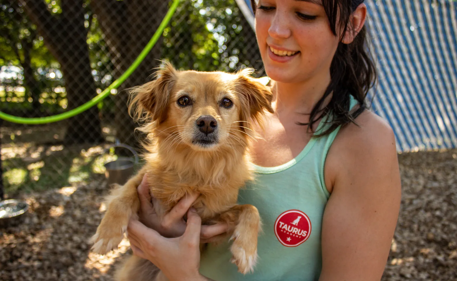 Dog with staff member Dog with staff member
