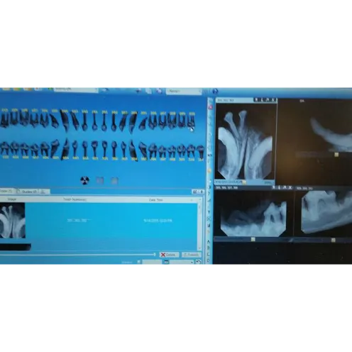 Radiology Dental Computer at College Park Animal Hospital