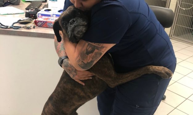 Vet hugging dog 