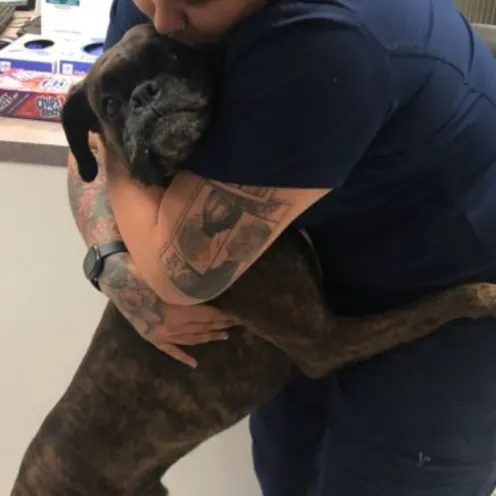 Vet hugging dog Vet hugging dog