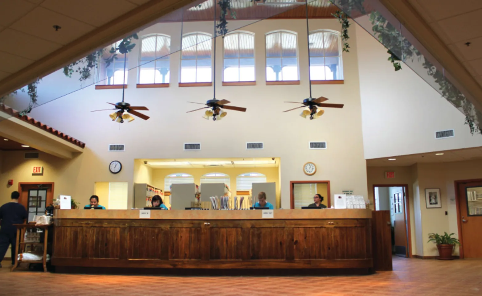 Metairie Small Animal Hospital (MSAH) - Main Hospital Lobby