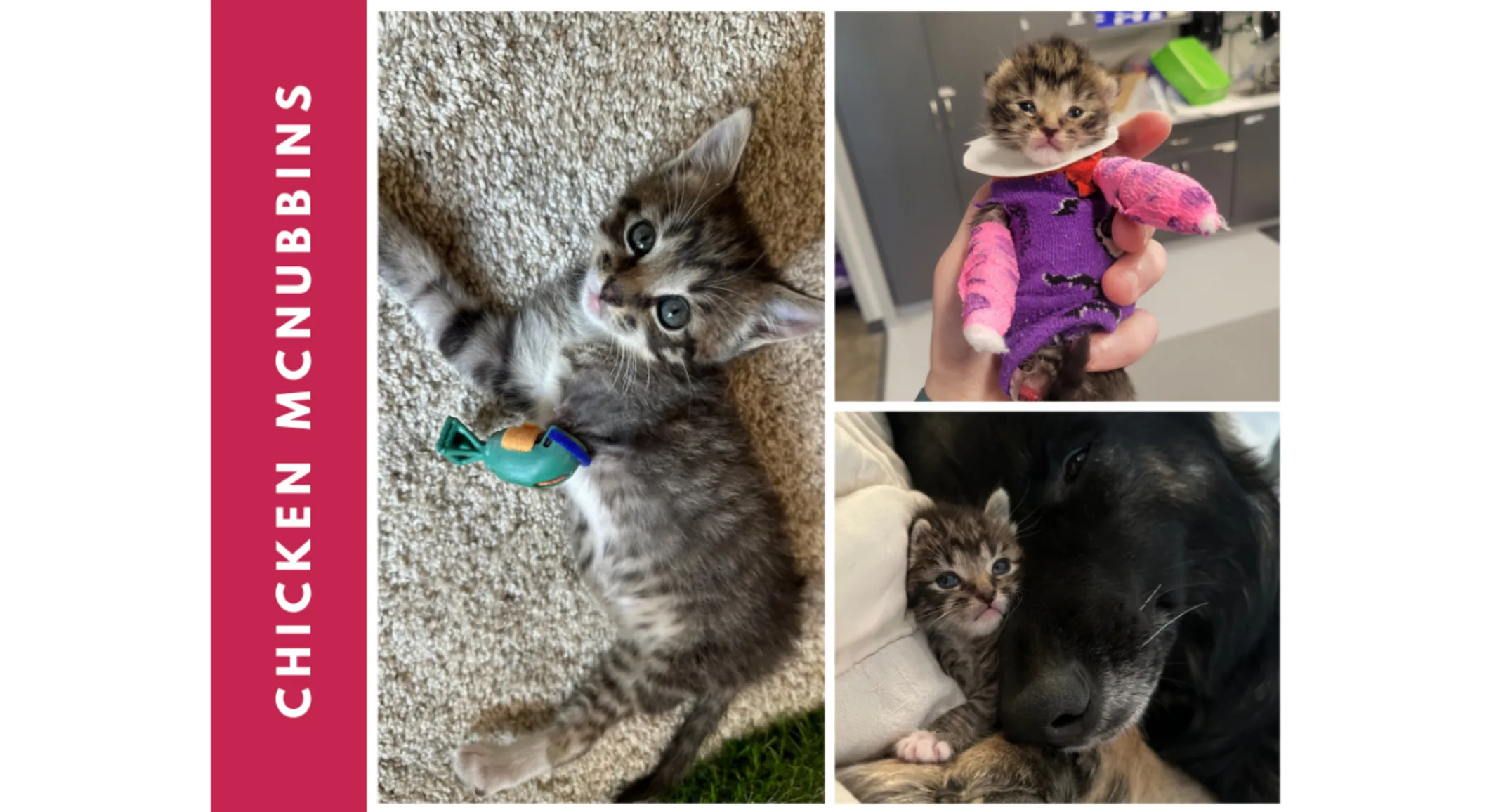 Chicken McNubbins Chicken McNubbins