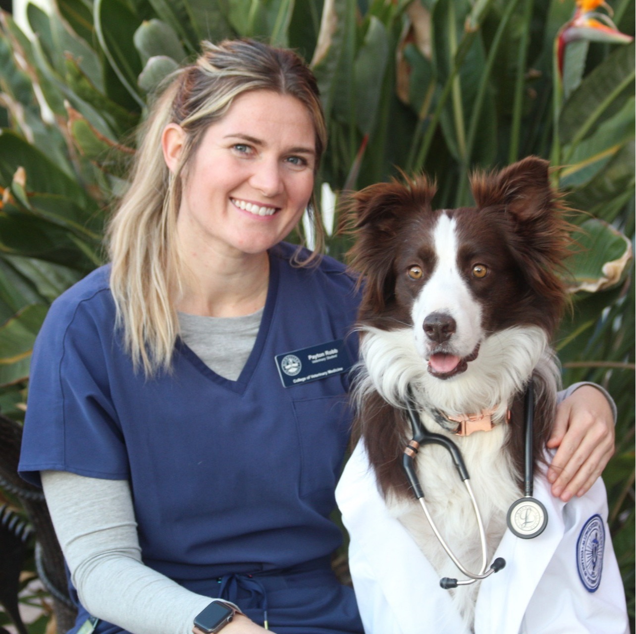 Dr. Payton Robb