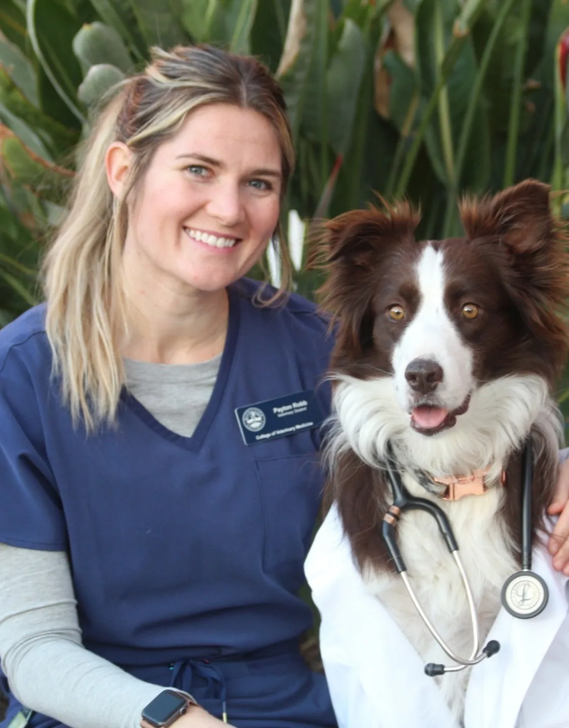 Dr. Payton Robb Dr. Payton Robb