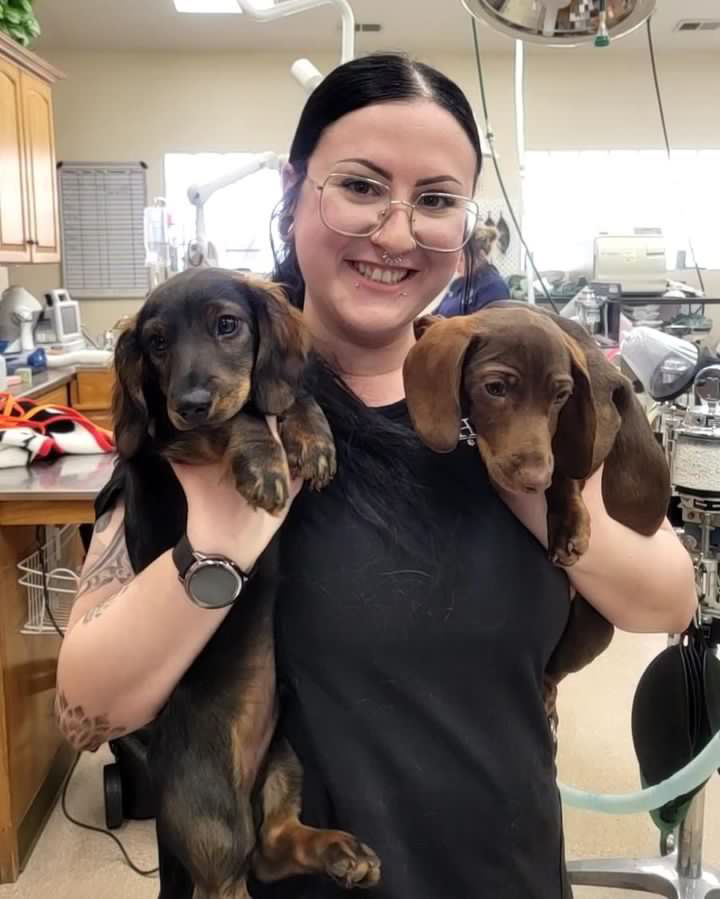  Staff member holding puppies