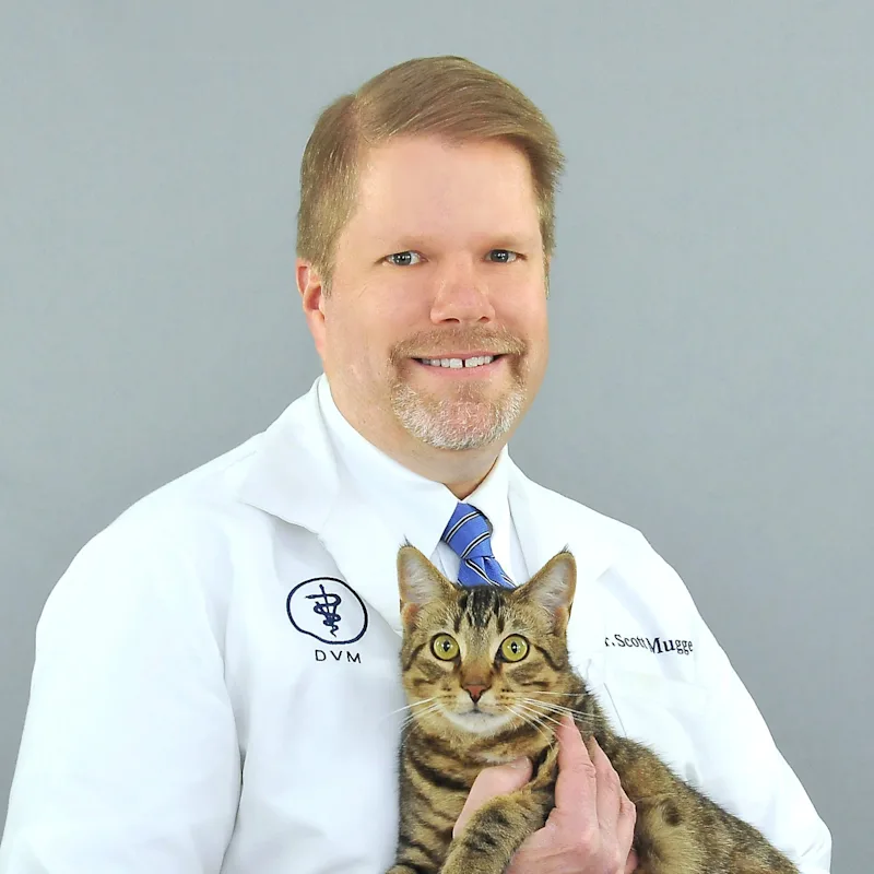 Dr. Scott Mugge Dr. Scott Mugge