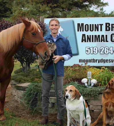 Jamey Osmond with two dogs, a cat, and a horse Jamey Osmond with two dogs, a cat, and a horse