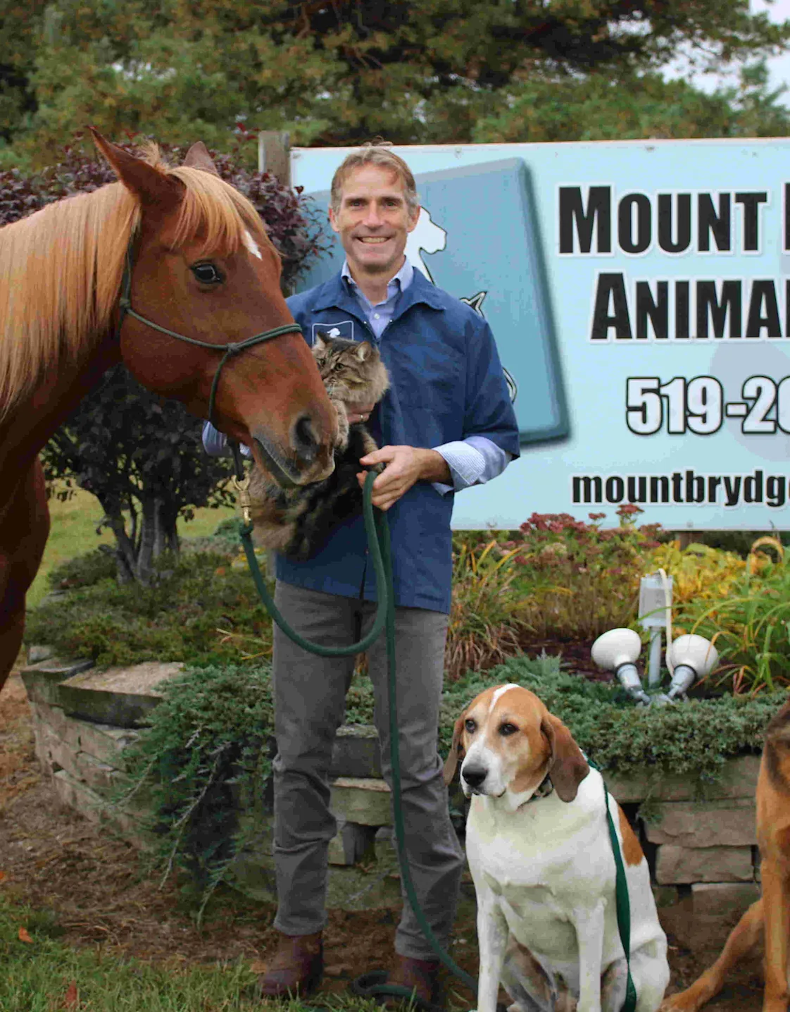 Jamey Osmond with two dogs, a cat, and a horse Jamey Osmond with two dogs, a cat, and a horse