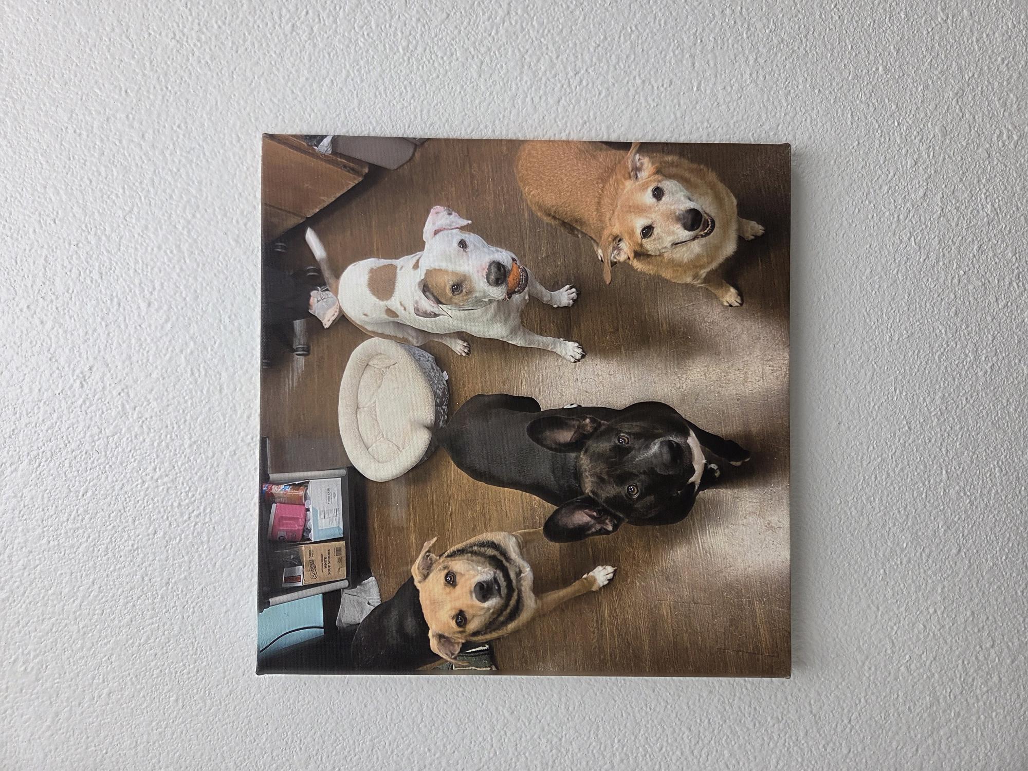 A painting of four dogs looking at the camera