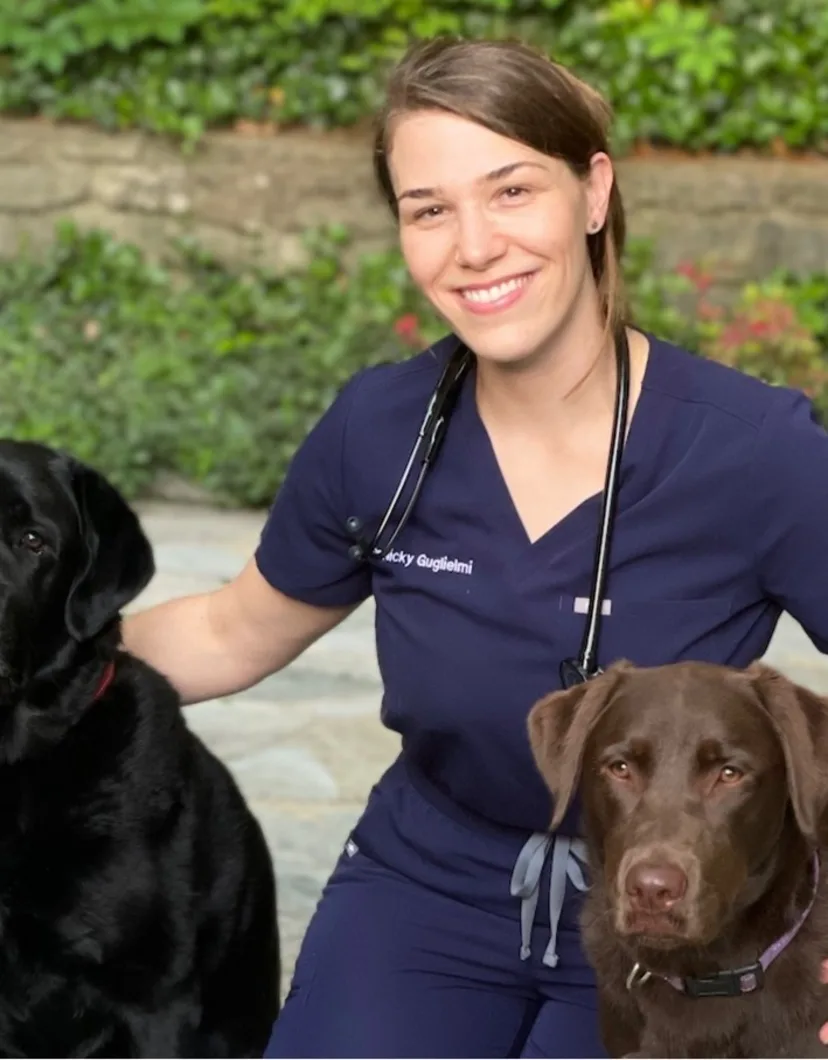 A photo of Dr. Nicky Guglielmi with a Chocolate Lab and Black Lab