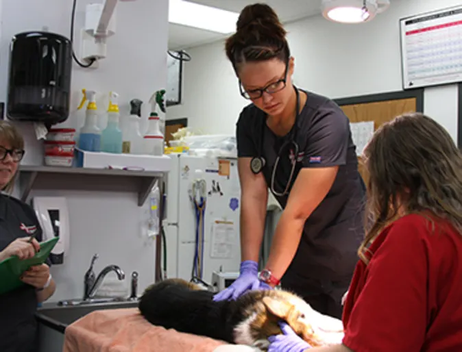 Staff members with patient Staff members with patient
