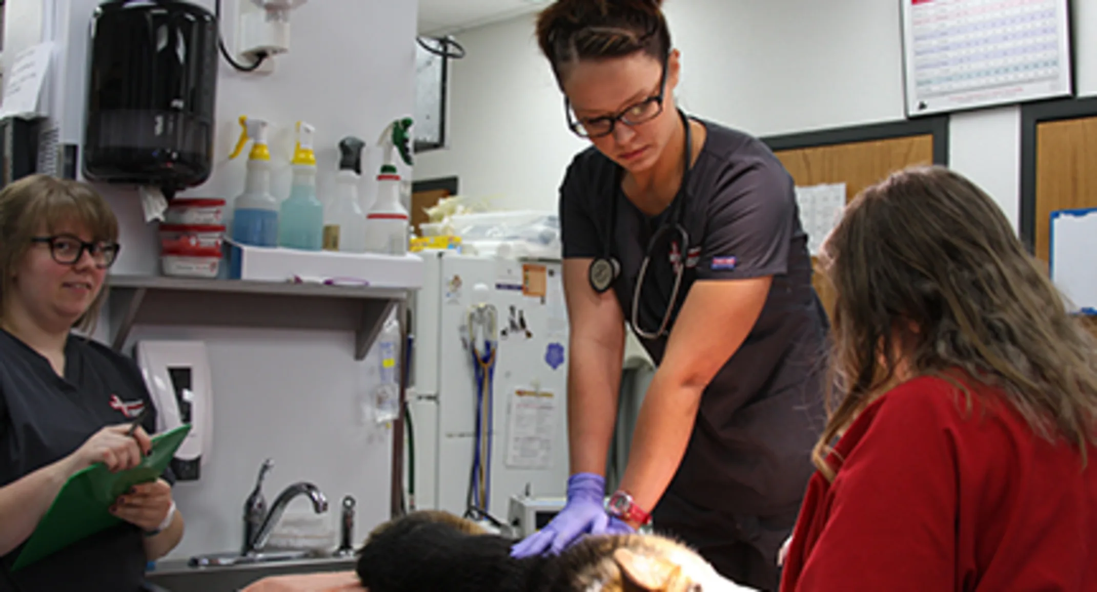 Staff members with patient