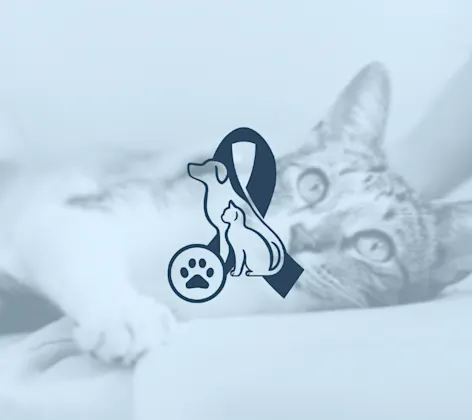 White and grey cat laying down on white couch and a cat and dog ribbon logo White and grey cat laying down on white couch and a cat and dog ribbon logo