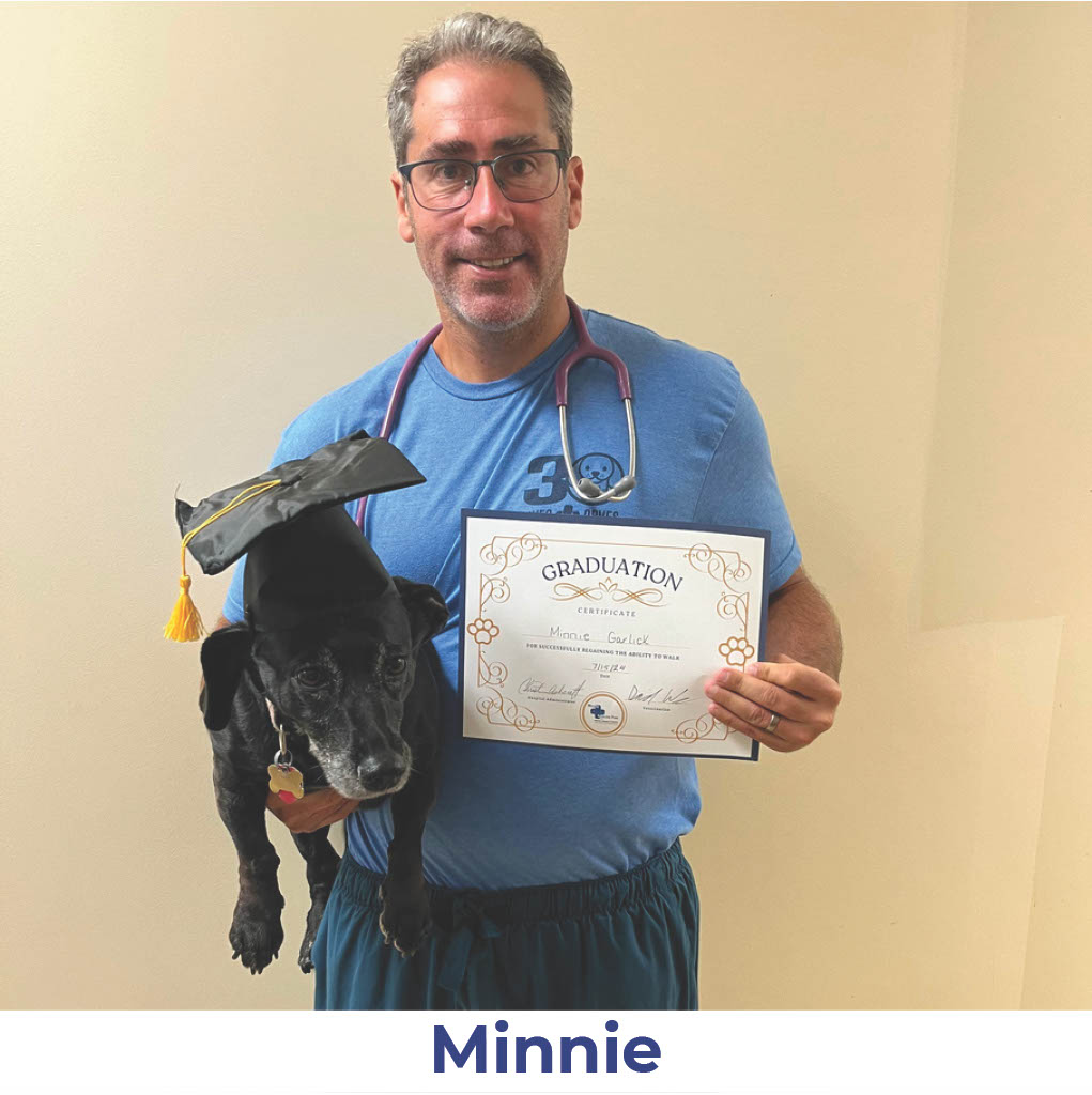 Minnie the dog with Neurology Graduate Hall of Fame certificate