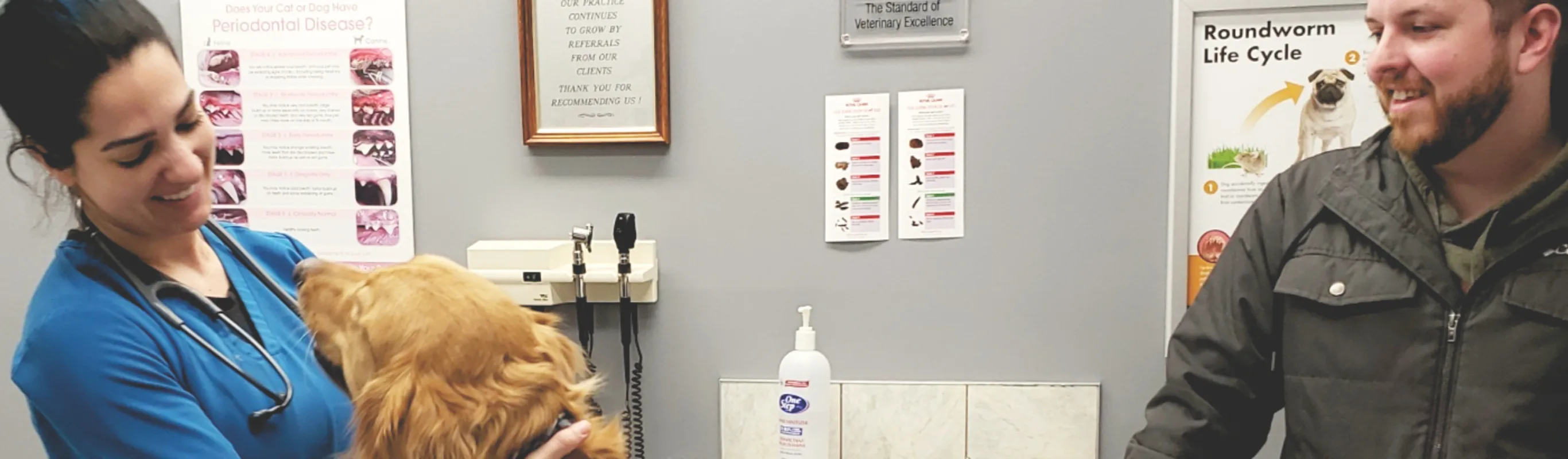 A South Saskatchewan Animal Hospital employee getting jumped on by a Golden Retriever A South Saskatchewan Animal Hospital employee getting jumped on by a Golden Retriever