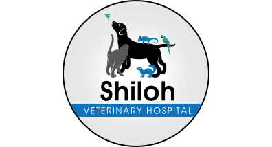 Shiloh Veterinary Hospital Logo