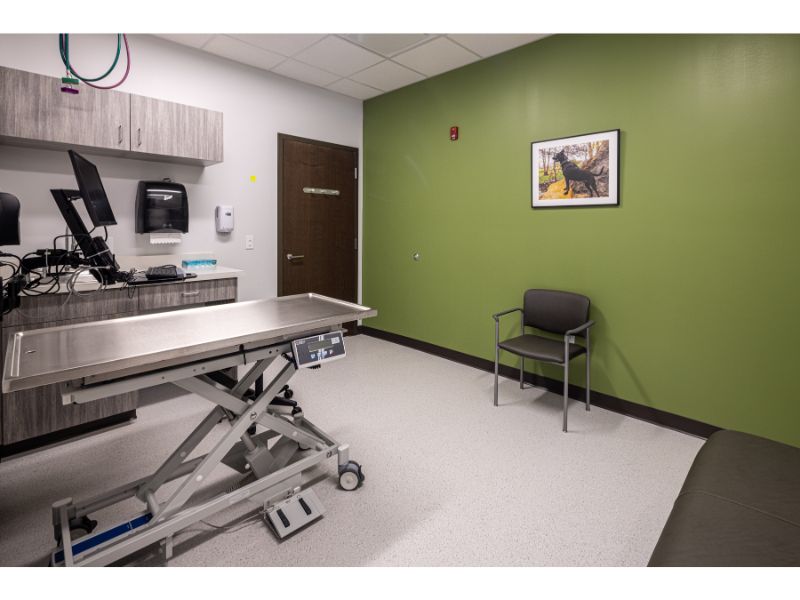 Check up room