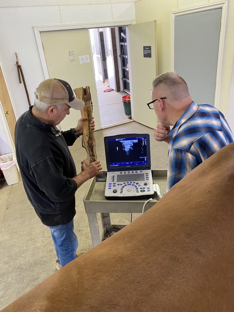 Two veterinarians observing a monitor