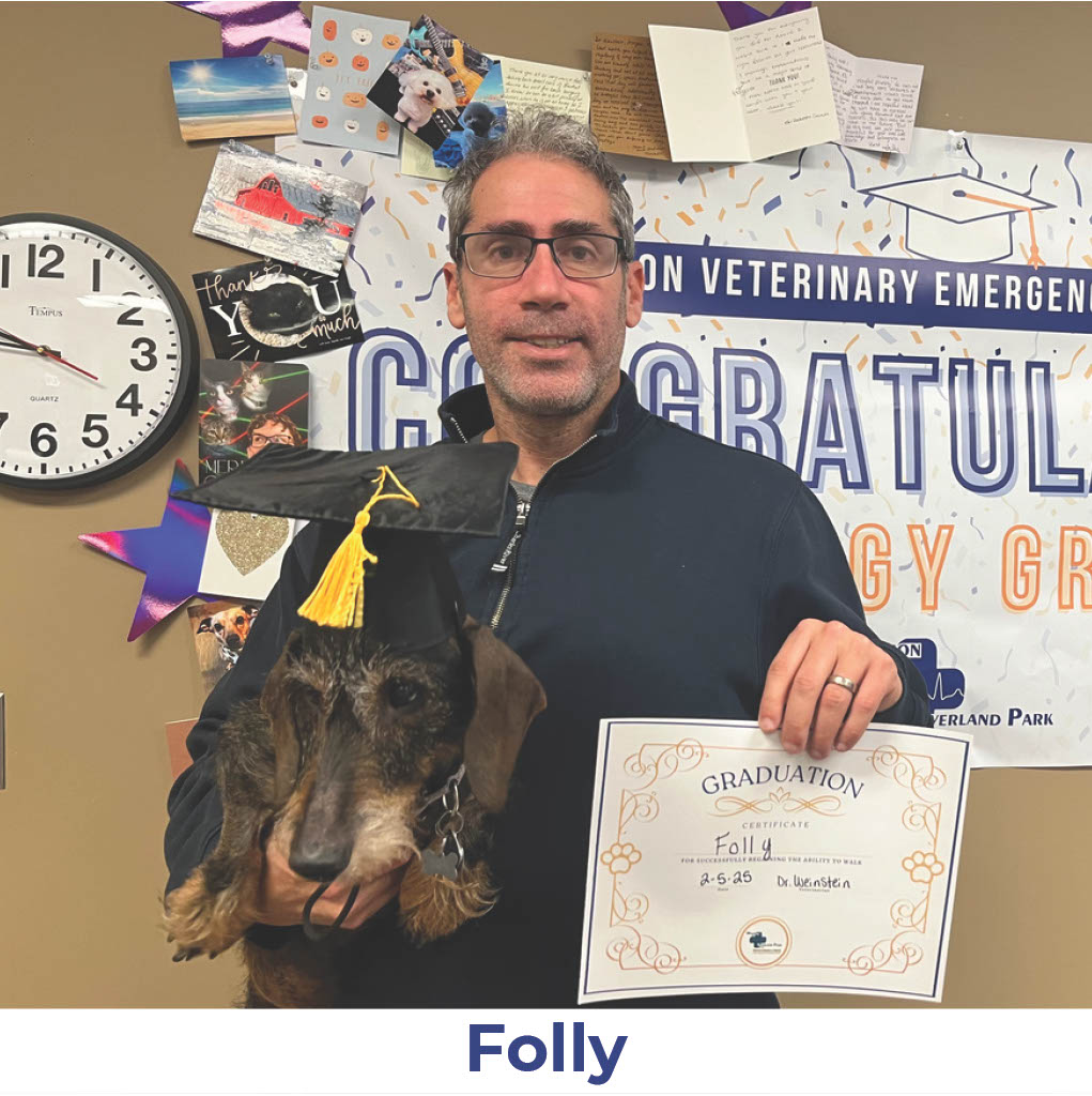 Folly the dog with Neurology Graduate Hall of Fame certificate