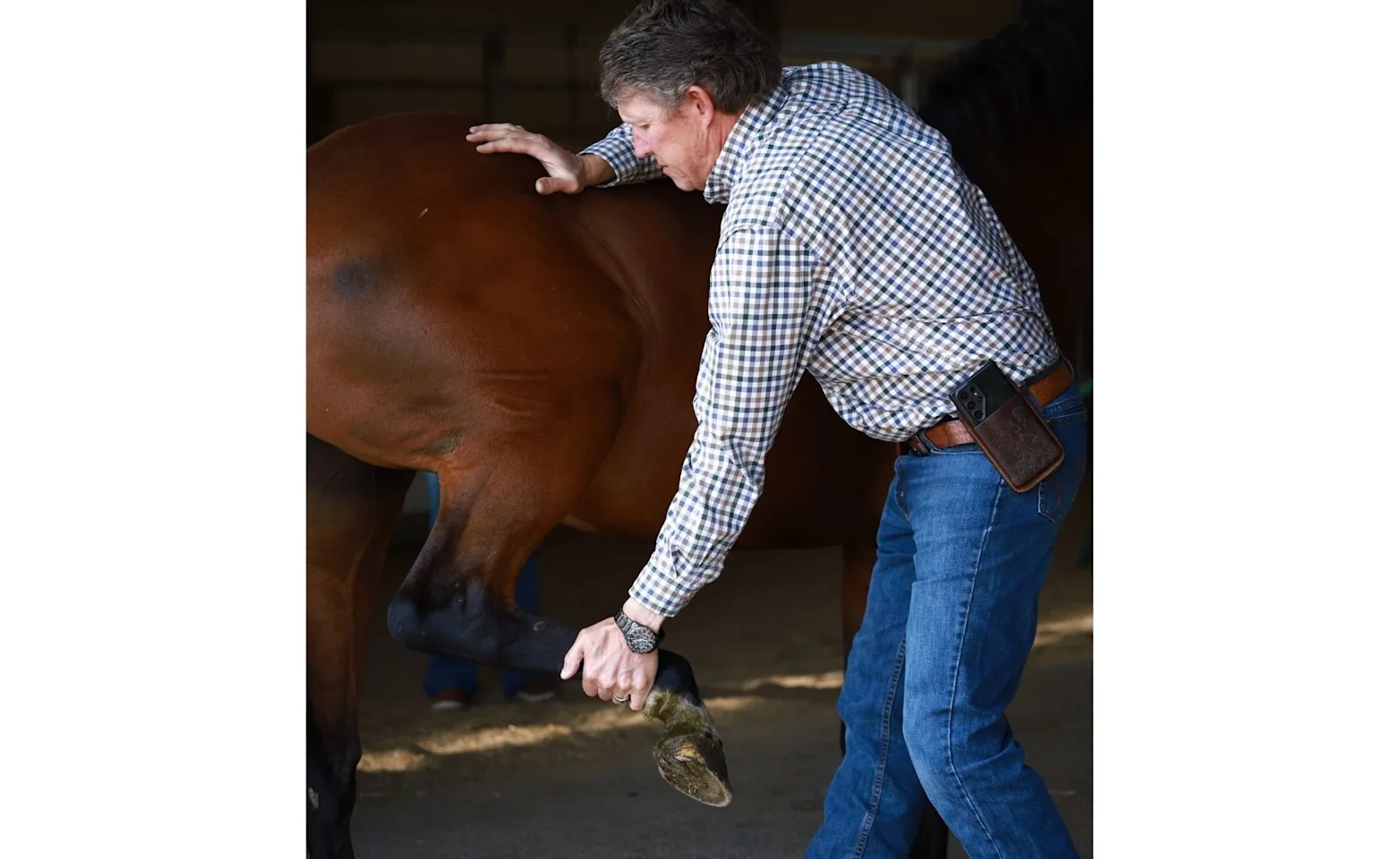 McKinlay & Peters Equine Hospital's veterinarian performing a lameness examination McKinlay & Peters Equine Hospital's veterinarian performing a lameness examination
