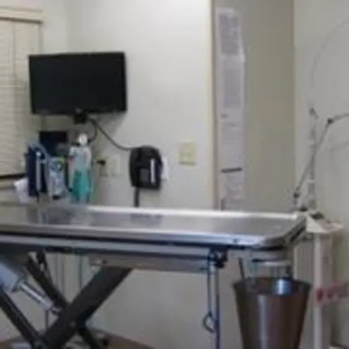 King's Mountain Animal Clinic surgical table